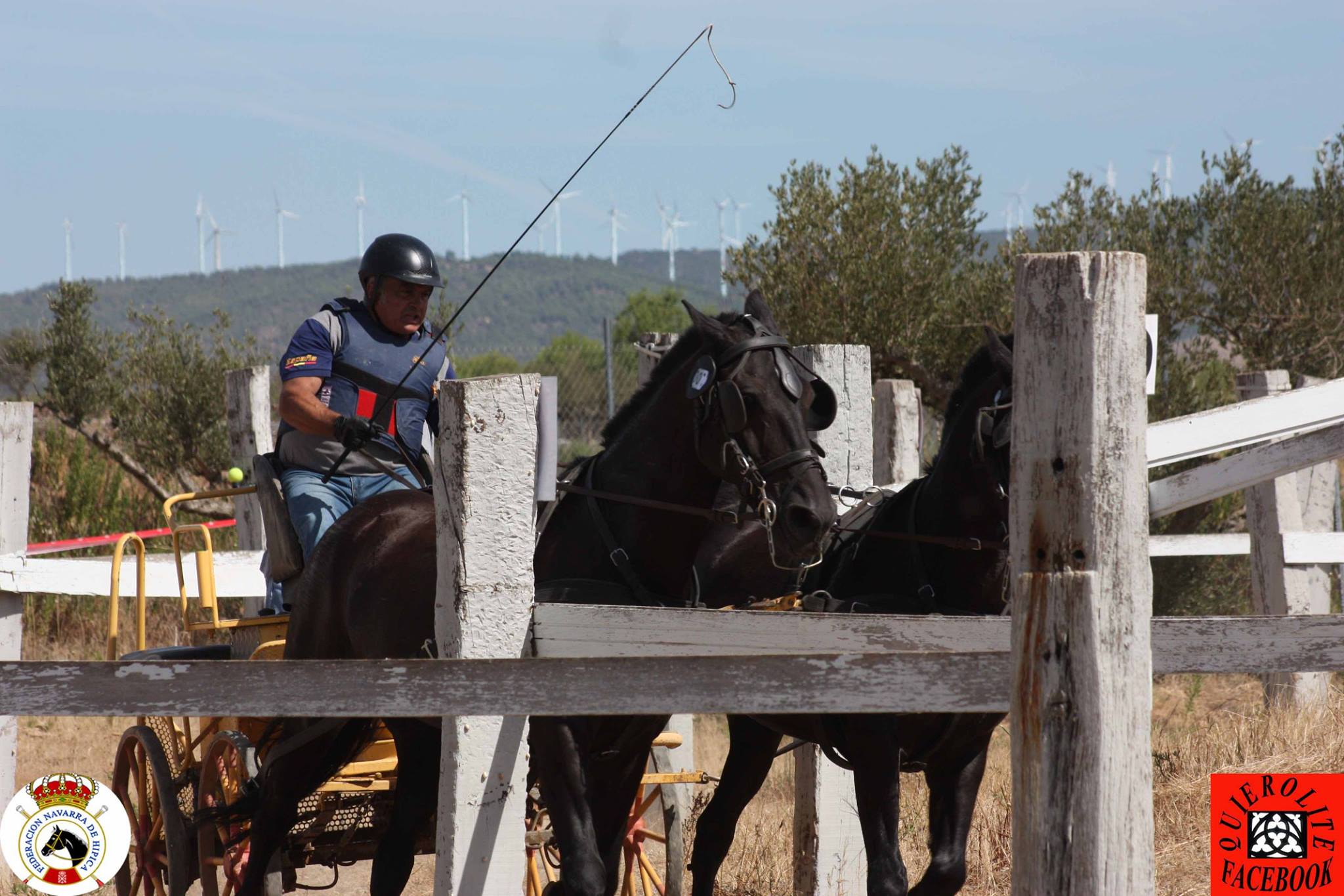 Olite acogió el Campeonato Navarro de Enganches